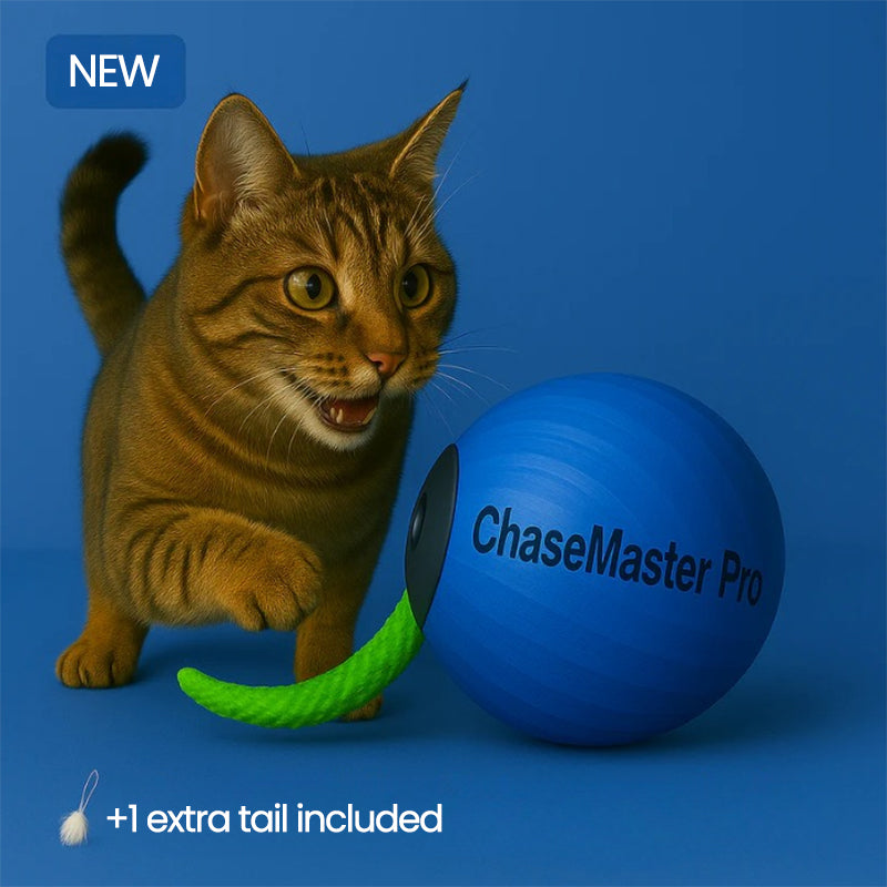 ChaseMaster Pro™