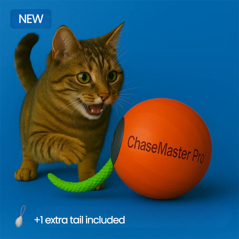 ChaseMaster Pro™